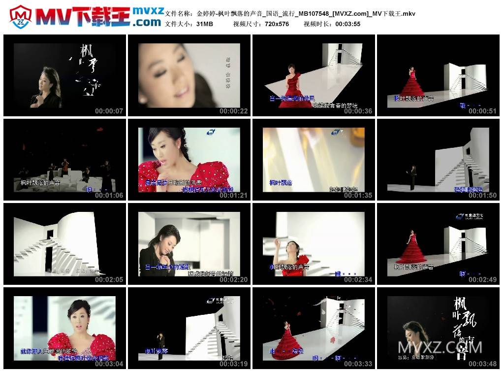 金婷婷-枫叶飘落的声音_国语_流行_MB107548